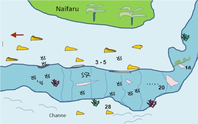 Naifaru Out-Reef